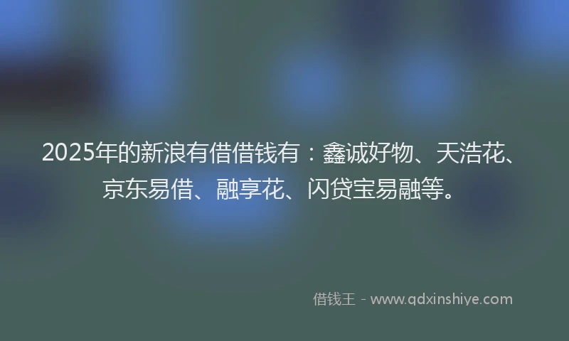 2025年的新浪有借借钱有：鑫诚好物、天浩花、京东易借、融享花、闪贷宝易融等。