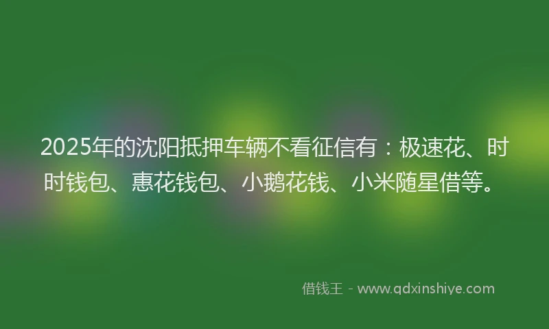 2025年的沈阳抵押车辆不看征信有：极速花、时时钱包、惠花钱包、小鹅花钱、小米随星借等。