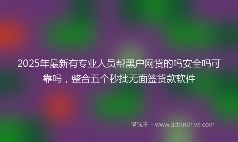 2025年最新有专业人员帮黑户网贷的吗安全吗可靠吗，整合五个秒批无面签贷款软件