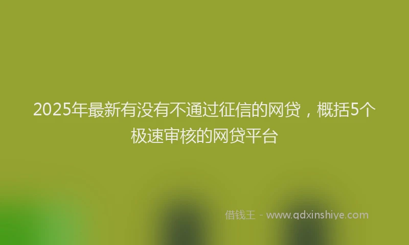 2025年最新有没有不通过征信的网贷，概括5个极速审核的网贷平台