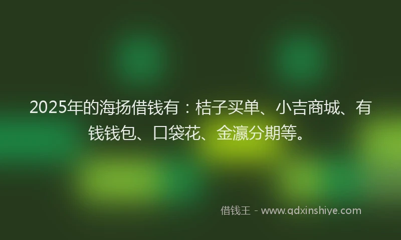 2025年的海扬借钱有：桔子买单、小吉商城、有钱钱包、口袋花、金瀛分期等。