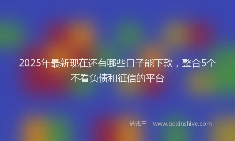 2025年最新现在还有哪些口子能下款，整合5个不看负债和征信的平台