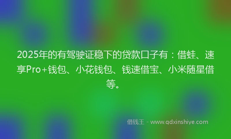 2025年的有驾驶证稳下的贷款口子有：借蛙、速享Pro+钱包、小花钱包、钱速借宝、小米随星借等。