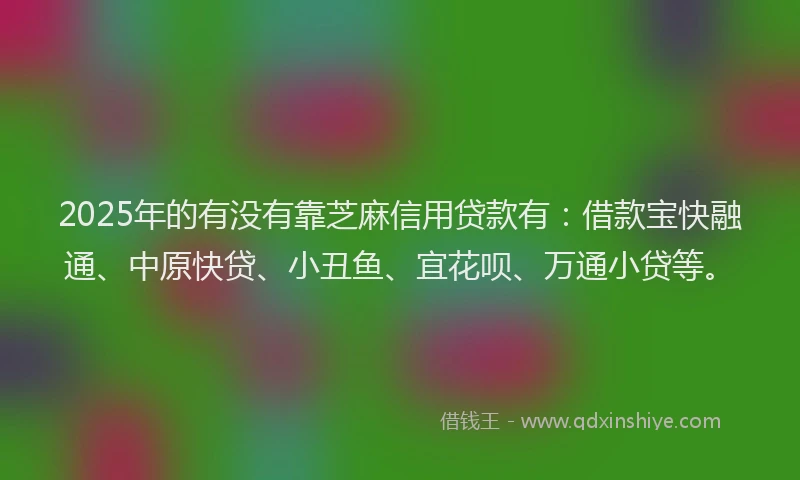 2025年的有没有靠芝麻信用贷款有：借款宝快融通、中原快贷、小丑鱼、宜花呗、万通小贷等。