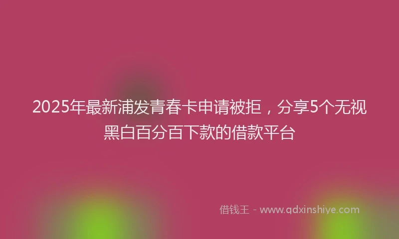 2025年最新浦发青春卡申请被拒，分享5个无视黑白百分百下款的借款平台