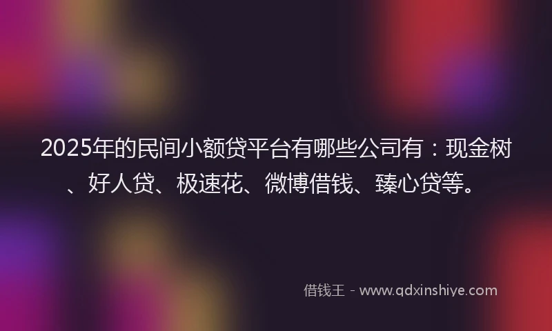 2025年的民间小额贷平台有哪些公司有：现金树、好人贷、极速花、微博借钱、臻心贷等。