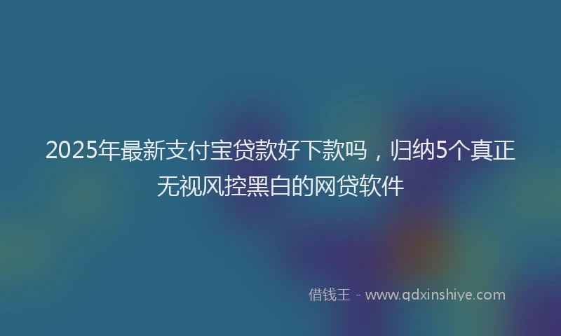 2025年最新支付宝贷款好下款吗，归纳5个真正无视风控黑白的网贷软件