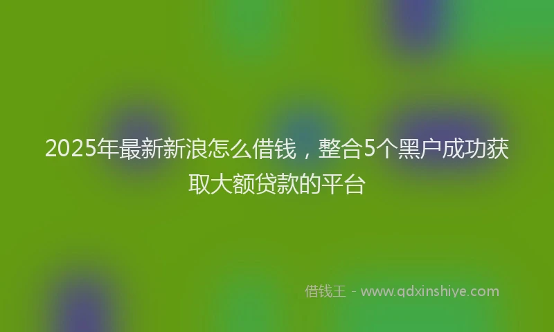 2025年最新新浪怎么借钱，整合5个黑户成功获取大额贷款的平台