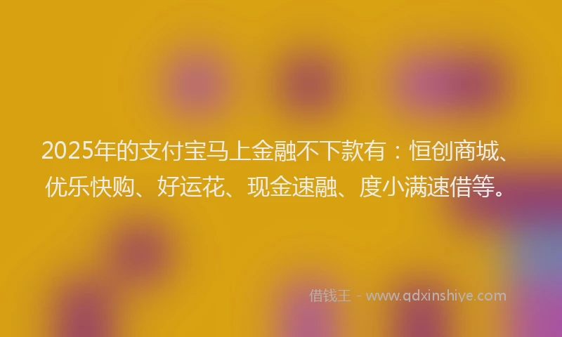 2025年的支付宝马上金融不下款有：恒创商城、优乐快购、好运花、现金速融、度小满速借等。