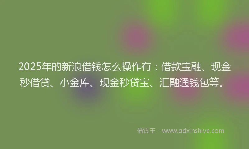 2025年的新浪借钱怎么操作有：借款宝融、现金秒借贷、小金库、现金秒贷宝、汇融通钱包等。