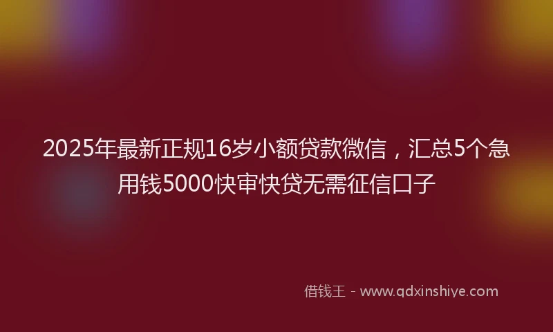 2025年最新正规16岁小额贷款微信，汇总5个急用钱5000快审快贷无需征信口子