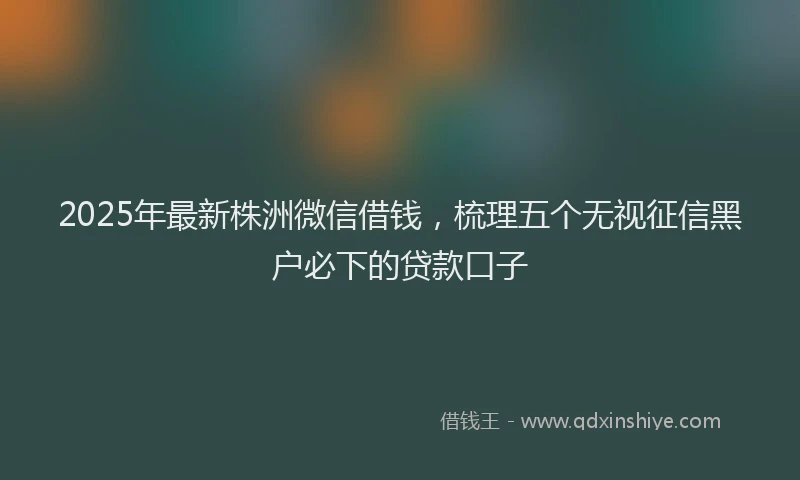 2025年最新株洲微信借钱，梳理五个无视征信黑户必下的贷款口子