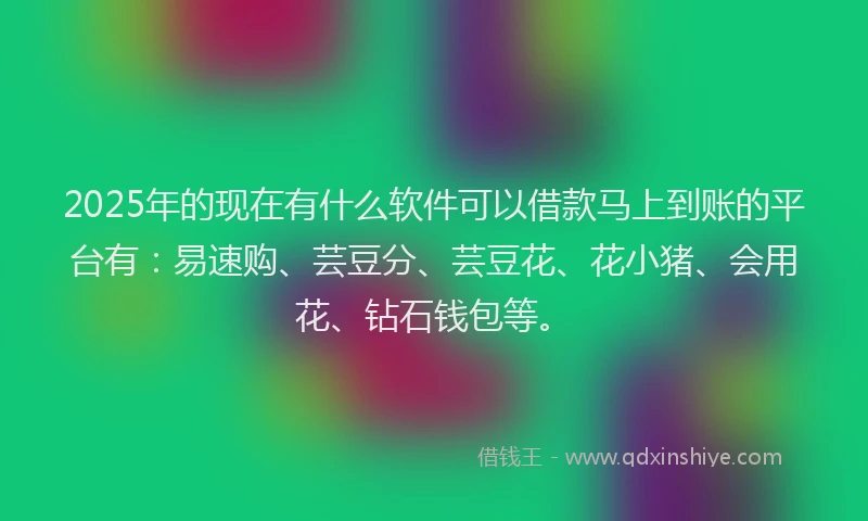 2025年的现在有什么软件可以借款马上到账的平台有：易速购、芸豆分、芸豆花、花小猪、会用花、钻石钱包等。