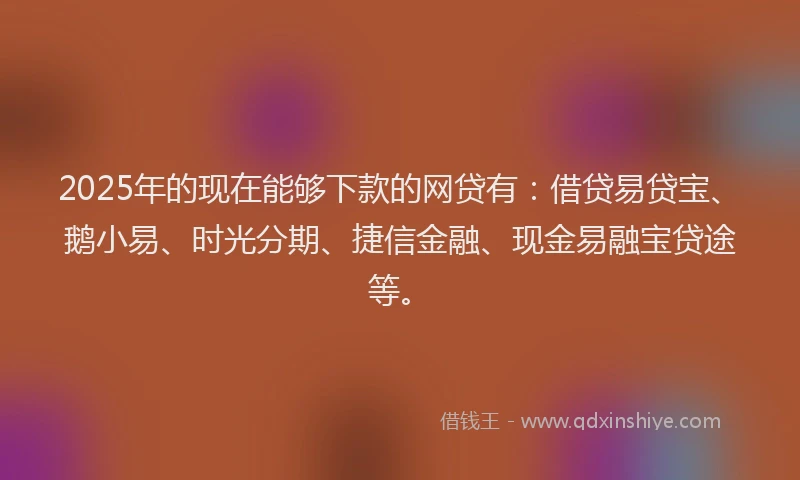 2025年的现在能够下款的网贷有：借贷易贷宝、鹅小易、时光分期、捷信金融、现金易融宝贷途等。