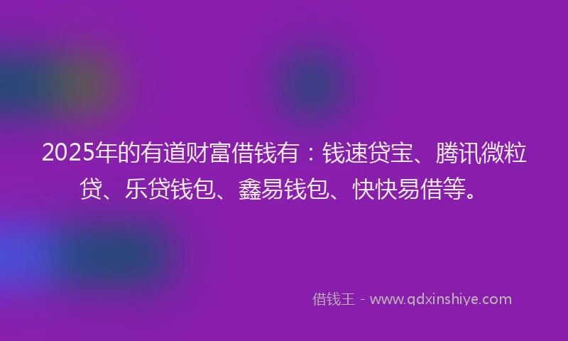 2025年的有道财富借钱有：钱速贷宝、腾讯微粒贷、乐贷钱包、鑫易钱包、快快易借等。