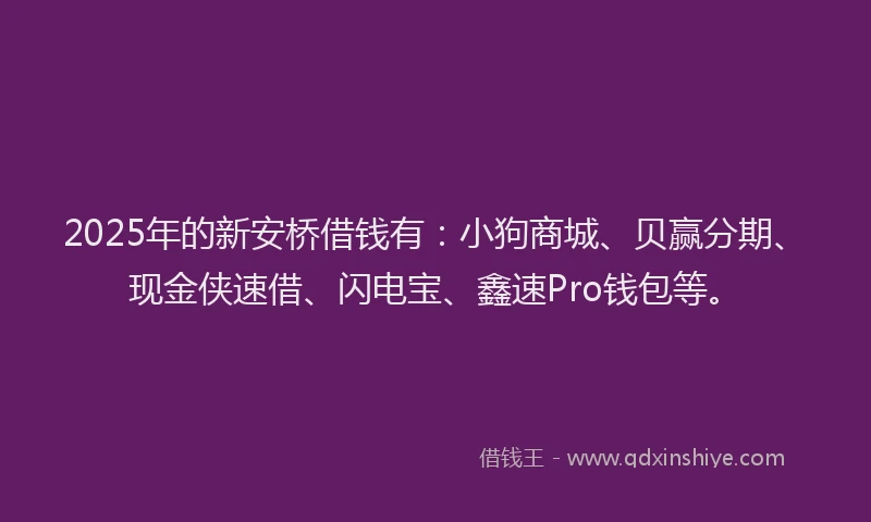 2025年的新安桥借钱有：小狗商城、贝赢分期、现金侠速借、闪电宝、鑫速Pro钱包等。