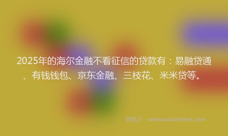 2025年的海尔金融不看征信的贷款有：易融贷通、有钱钱包、京东金融、三枝花、米米贷等。