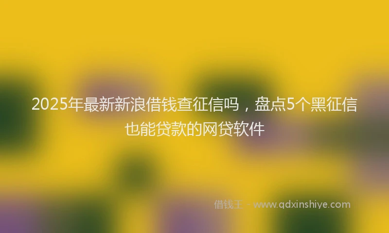 2025年最新新浪借钱查征信吗，盘点5个黑征信也能贷款的网贷软件
