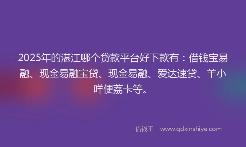 2025年的湛江哪个贷款平台好下款有：借钱宝易融、现金易融宝贷、现金易融、爱达速贷、羊小咩便荔卡等。