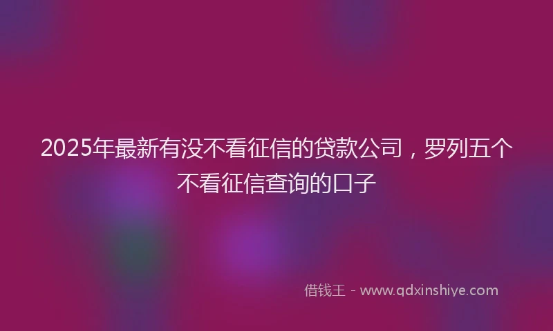2025年最新有没不看征信的贷款公司，罗列五个不看征信查询的口子