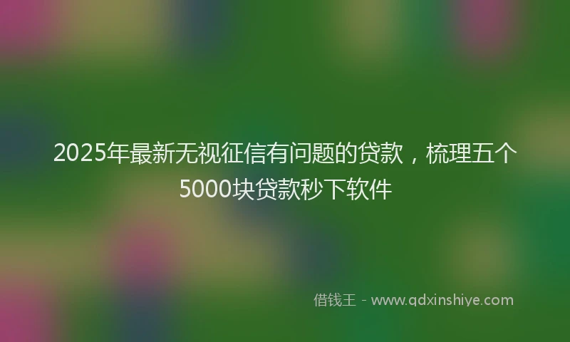 2025年最新无视征信有问题的贷款，梳理五个5000块贷款秒下软件