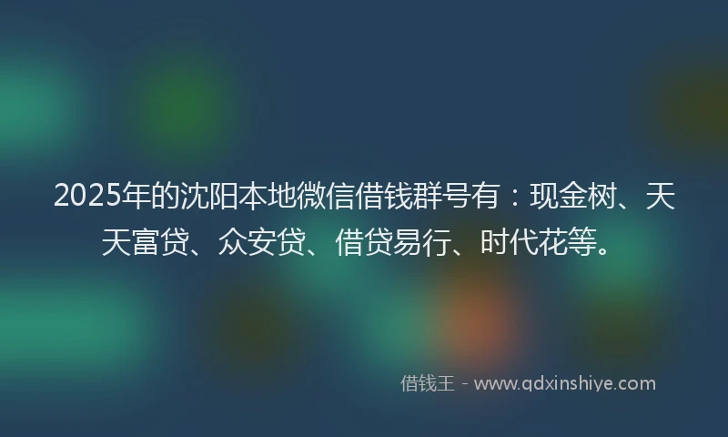 2025年的沈阳本地微信借钱群号有：现金树、天天富贷、众安贷、借贷易行、时代花等。