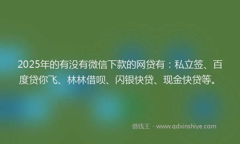 2025年的有没有微信下款的网贷有：私立签、百度贷你飞、林林借呗、闪银快贷、现金快贷等。