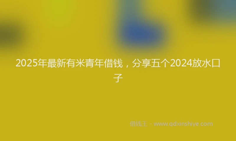 2025年最新有米青年借钱，分享五个2024放水口子