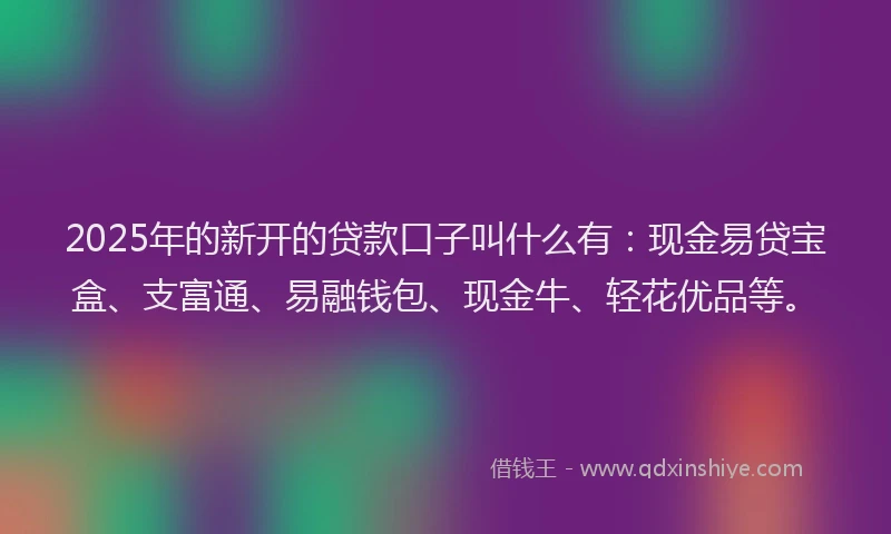 2025年的新开的贷款口子叫什么有：现金易贷宝盒、支富通、易融钱包、现金牛、轻花优品等。