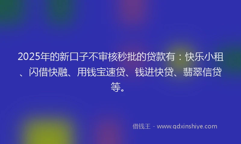 2025年的新口子不审核秒批的贷款有：快乐小租、闪借快融、用钱宝速贷、钱进快贷、翡翠信贷等。