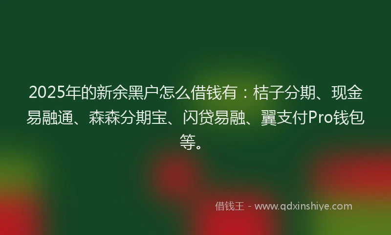 2025年的新余黑户怎么借钱有：桔子分期、现金易融通、森森分期宝、闪贷易融、翼支付Pro钱包等。