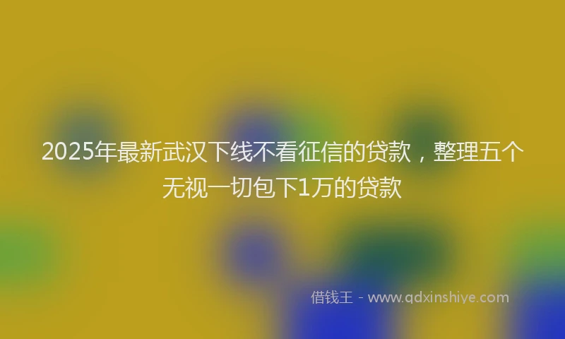 2025年最新武汉下线不看征信的贷款，整理五个无视一切包下1万的贷款