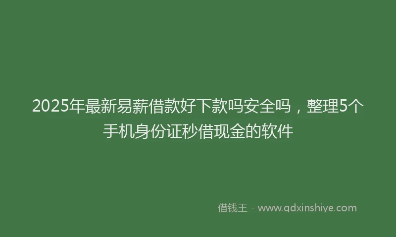 2025年最新易薪借款好下款吗安全吗，整理5个手机身份证秒借现金的软件