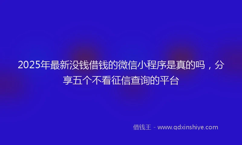 2025年最新没钱借钱的微信小程序是真的吗，分享五个不看征信查询的平台