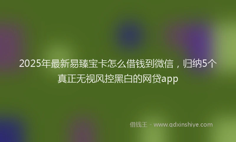 2025年最新易臻宝卡怎么借钱到微信，归纳5个真正无视风控黑白的网贷app