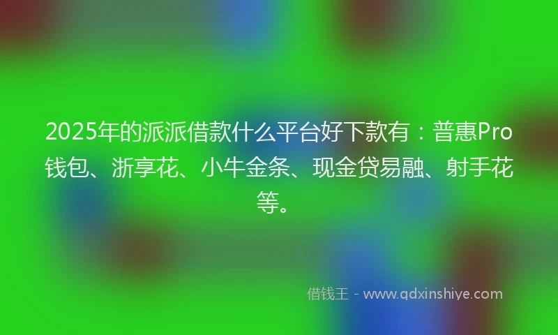 2025年的派派借款什么平台好下款有：普惠Pro钱包、浙享花、小牛金条、现金贷易融、射手花等。