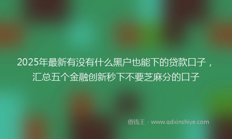 2025年最新有没有什么黑户也能下的贷款口子，汇总五个金融创新秒下不要芝麻分的口子