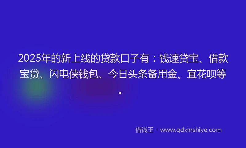 2025年的新上线的贷款口子有：钱速贷宝、借款宝贷、闪电侠钱包、今日头条备用金、宜花呗等。