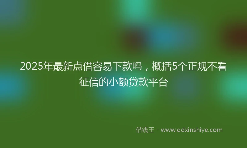 2025年最新点借容易下款吗，概括5个正规不看征信的小额贷款平台