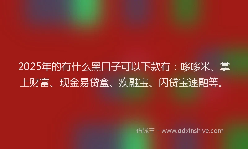 2025年的有什么黑口子可以下款有：哆哆米、掌上财富、现金易贷盒、疾融宝、闪贷宝速融等。