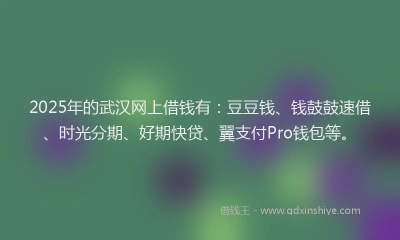 2025年的武汉网上借钱有：豆豆钱、钱鼓鼓速借、时光分期、好期快贷、翼支付Pro钱包等。