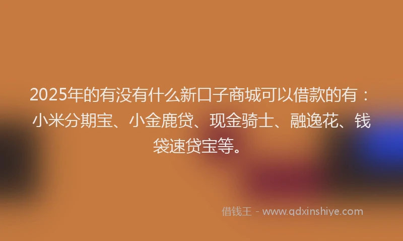2025年的有没有什么新口子商城可以借款的有：小米分期宝、小金鹿贷、现金骑士、融逸花、钱袋速贷宝等。