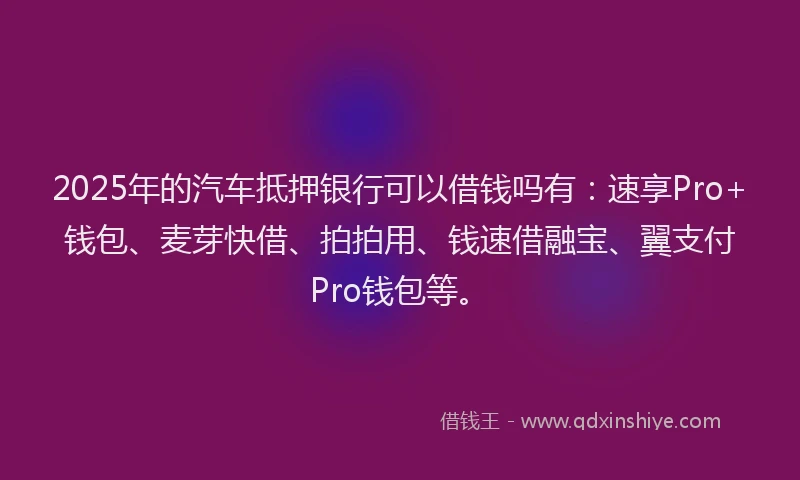 2025年的汽车抵押银行可以借钱吗有：速享Pro+钱包、麦芽快借、拍拍用、钱速借融宝、翼支付Pro钱包等。