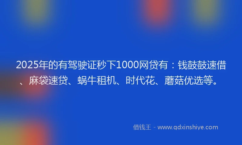 2025年的有驾驶证秒下1000网贷有：钱鼓鼓速借、麻袋速贷、蜗牛租机、时代花、蘑菇优选等。