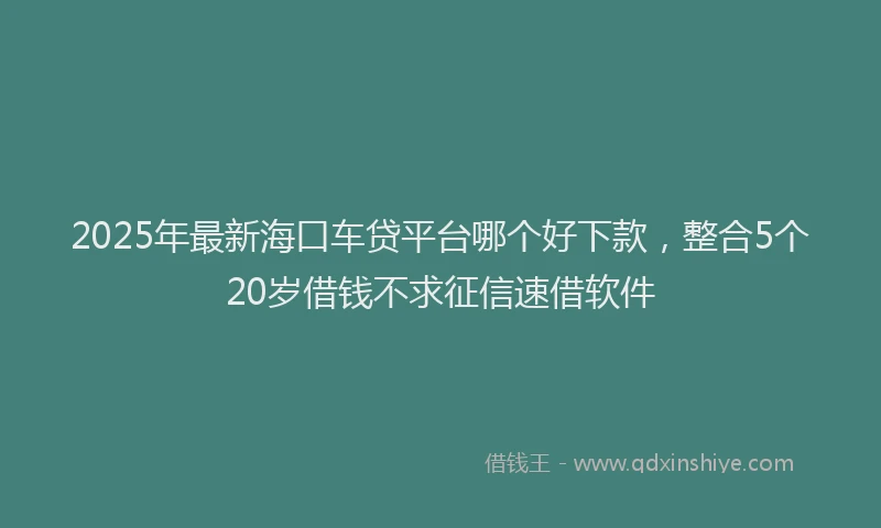 2025年最新海口车贷平台哪个好下款，整合5个20岁借钱不求征信速借软件