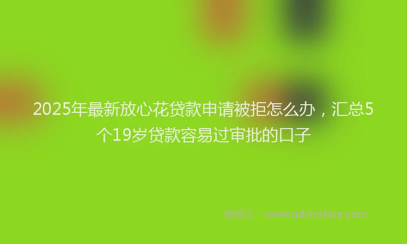 2025年最新放心花贷款申请被拒怎么办，汇总5个19岁贷款容易过审批的口子