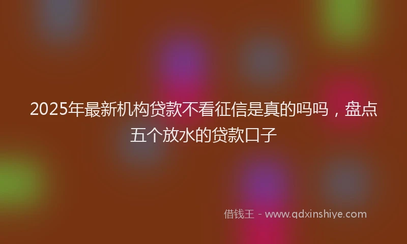 2025年最新机构贷款不看征信是真的吗吗，盘点五个放水的贷款口子