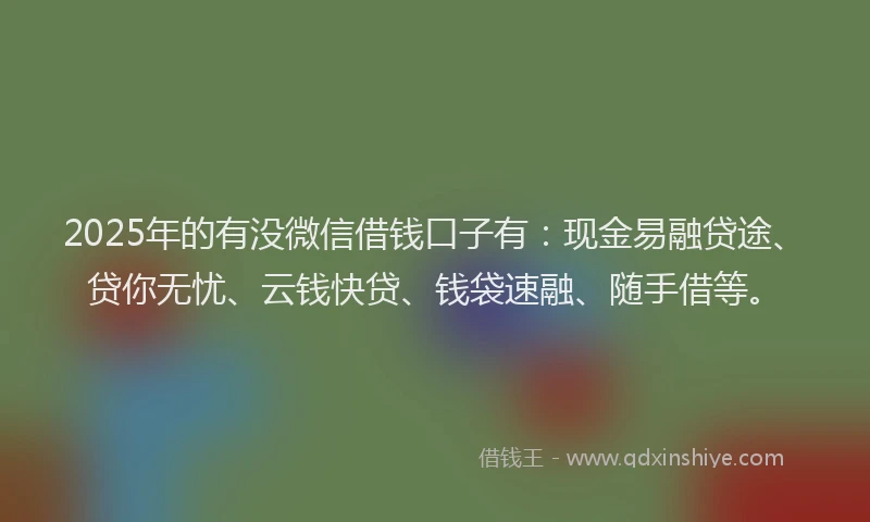 2025年的有没微信借钱口子有：现金易融贷途、贷你无忧、云钱快贷、钱袋速融、随手借等。