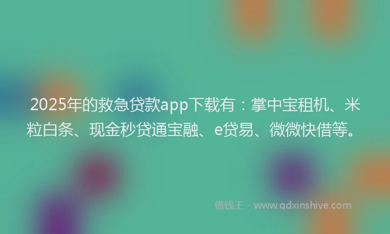 2025年的救急贷款app下载有：掌中宝租机、米粒白条、现金秒贷通宝融、e贷易、微微快借等。