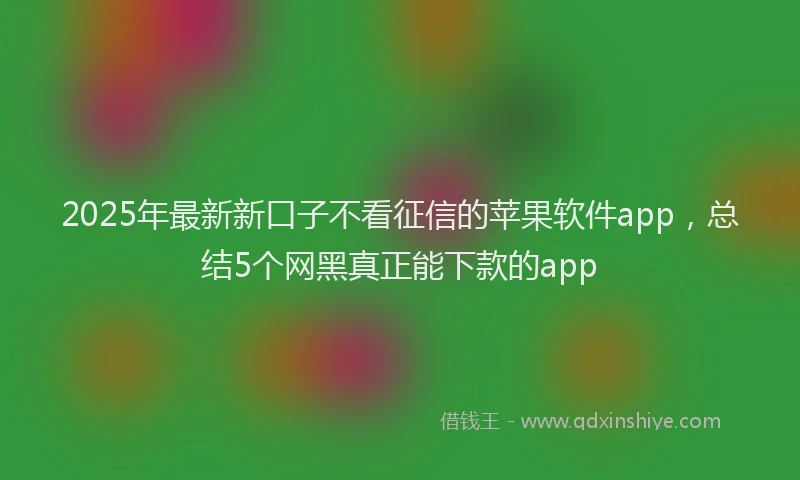 2025年最新新口子不看征信的苹果软件app，总结5个网黑真正能下款的app